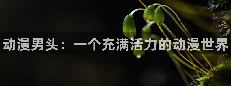 omofun动漫官方版下载