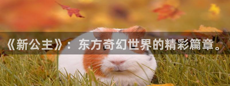 omofun漫画：《新公主》：东方奇幻世界的精彩篇章。