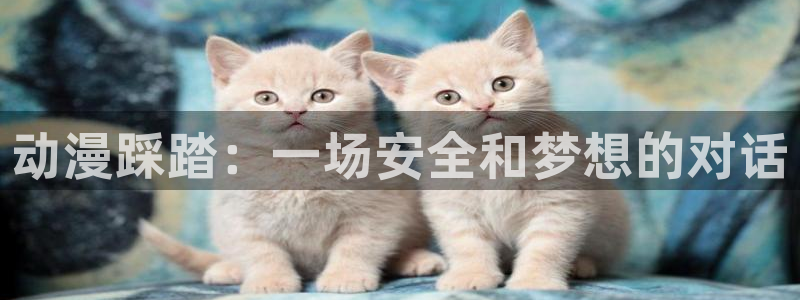 动漫共和国(omofun)官网：动漫踩踏：一场安全和梦想的对话