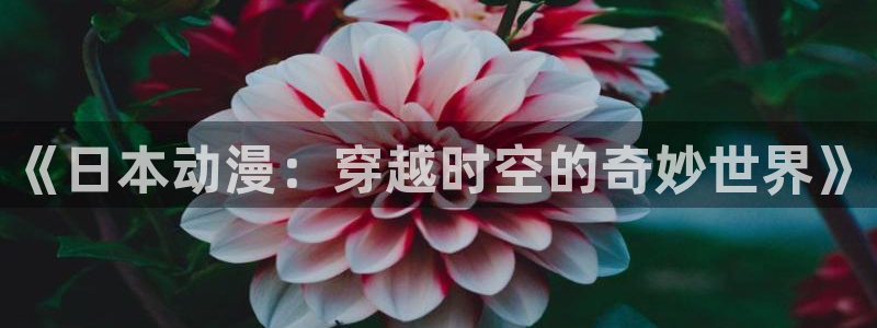 omofun动漫免费观看：《日本动漫：穿越时空的奇妙世界》